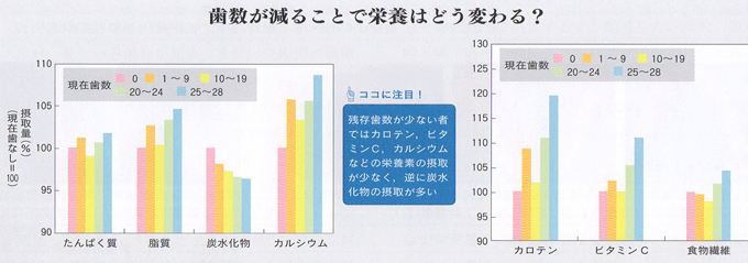 歯の数とからだの健康度